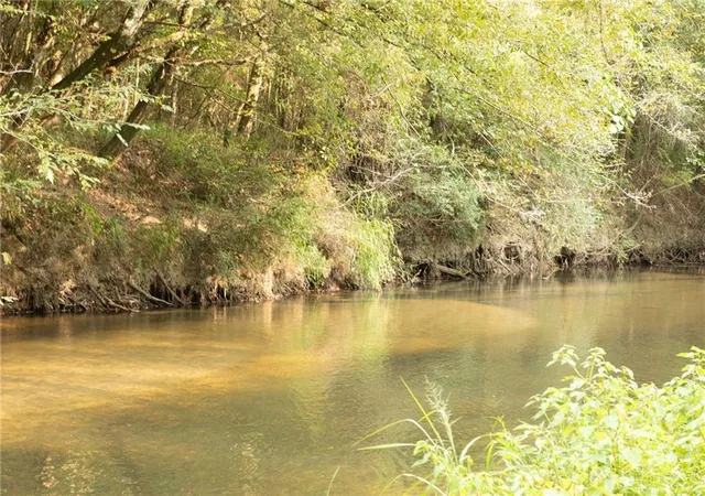 3rd image of Lonnie Duncan Rd, Mount Hermon, LA 70450 | MLS# 2566802