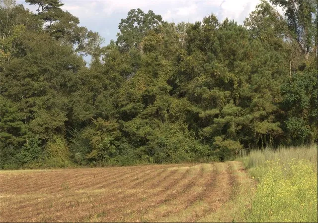 4th image of Lonnie Duncan Rd, Mount Hermon, LA 70450 | MLS# 2566802