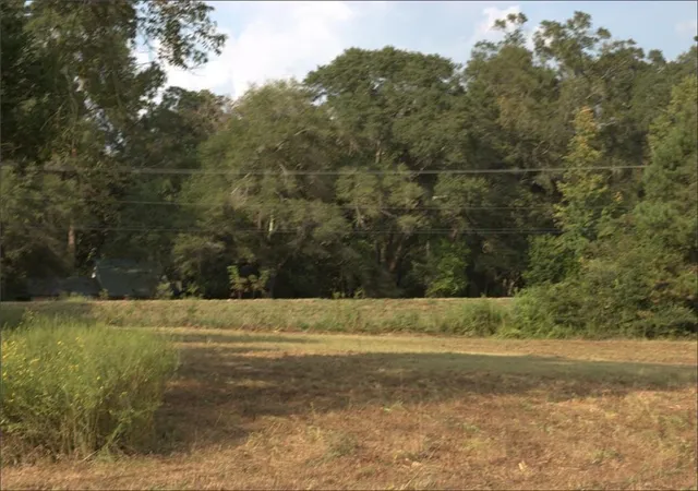 5th image of Lonnie Duncan Rd, Mount Hermon, LA 70450 | MLS# 2566802