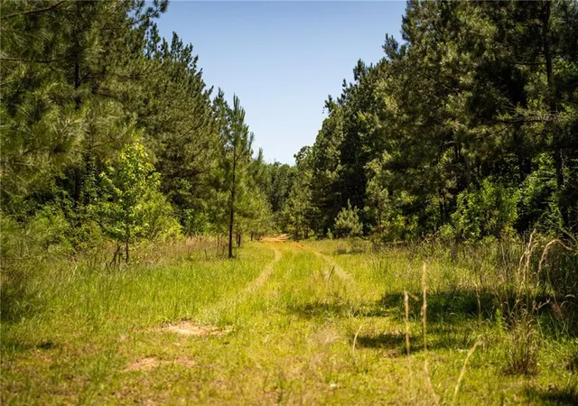 Homes for sale in Brookhaven, MS | 1203 Love St, Brookhaven, MS 39601 | MLS# 2567115