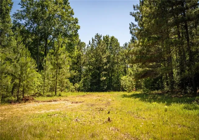 Homes for sale in Brookhaven, MS | 1203 Love St, Brookhaven, MS 39601 | MLS# 2567115