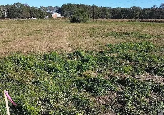 Photo 1 of Land for sale at 18237 1057 Highway, Kentwood, LA 70444 | MLS# 2567402 | Listing updated on 2026-08-04
