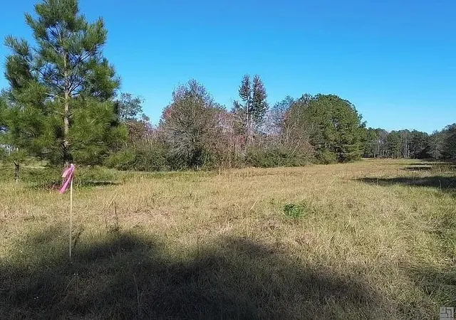 Photo 3 of Land for sale at 18237 1057 Highway, Kentwood, LA 70444 | MLS# 2567402 | Listing updated on 2026-08-04