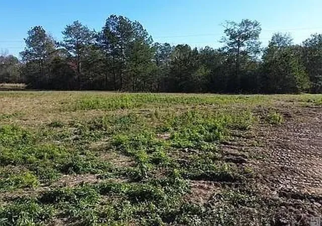 Photo 9 of Land for sale at 18237 1057 Highway, Kentwood, LA 70444 | MLS# 2567402 | Listing updated on 2026-08-04