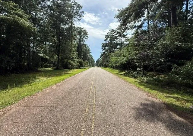 Photo 3 of Land for sale at 314 Deerfield Rd, Folsom, LA 70437 | MLS# 2566411 | Listing updated on 2026-07-15