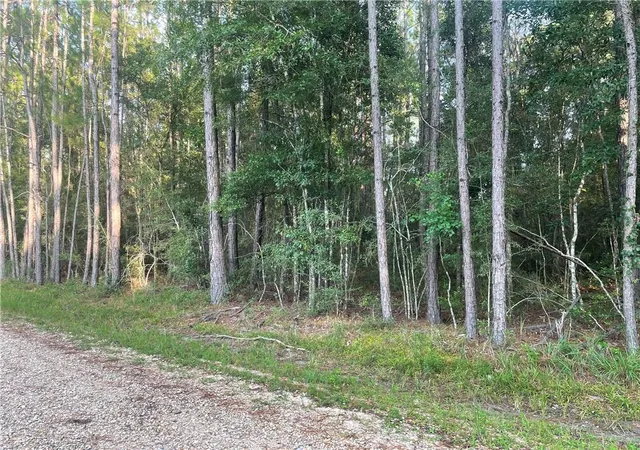 2nd image of 0 Worsham Dr, Abita Springs, LA 70420 | MLS# 2567794