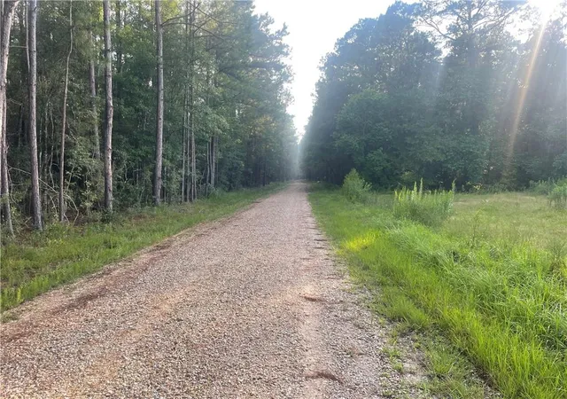 3rd image of 0 Worsham Dr, Abita Springs, LA 70420 | MLS# 2567794
