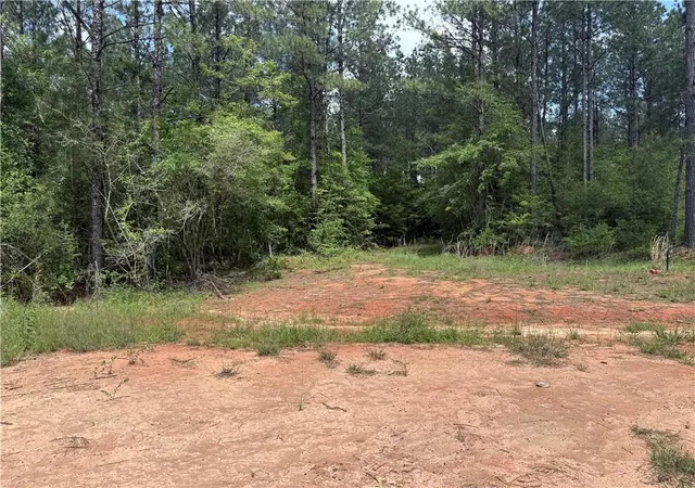 11th image of Lot 19 Caro Ln, Franklinton, LA 70438 | MLS# 2567495