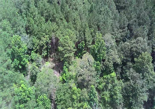 Photo 3 of Land for sale at 50417 Tiny Pines Rd, Angie, LA 70426 | MLS# 2567981 | Listing updated on 2026-07-20