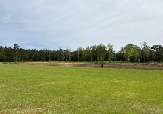 2nd image of 20140 Walden St, Covington, LA 70435 | MLS# 2568037
