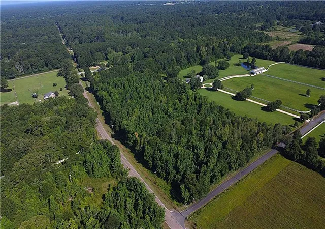 Photo 2 of Sale Pending at 78 Acres Hwy 1078, Folsom, LA 70437 | MLS# 2566328 | Listing updated on 2026-07-17
