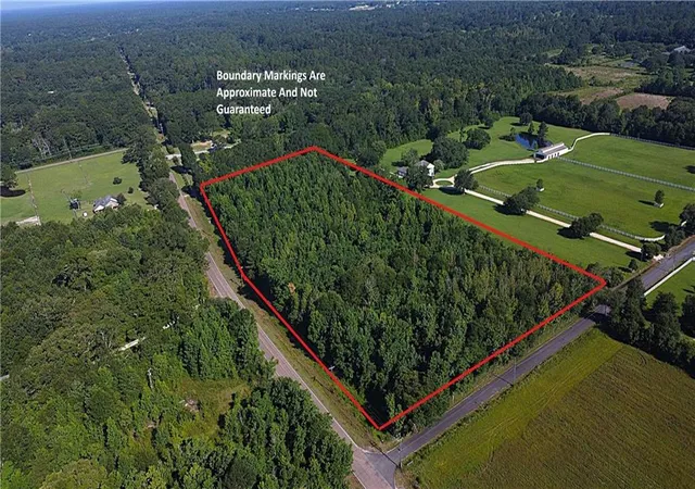 Photo 2 of Sale Pending at 78 Acres Hwy 1078, Folsom, LA 70437 | MLS# 2566328 | Listing updated on 2026-07-17