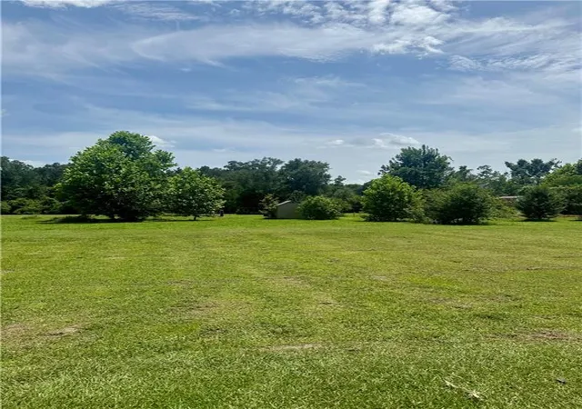 Photo 2 of Land for sale at 50414 Lester Ln, Loranger, LA 70446 | MLS# 2567913 | Listing updated on 2026-07-30