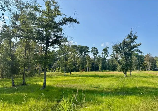 Photo 4 of Land for sale at Tbd Berry Todd Rd, Lacombe, LA 70445 | MLS# 2568238 | Listing updated on 2026-08-05