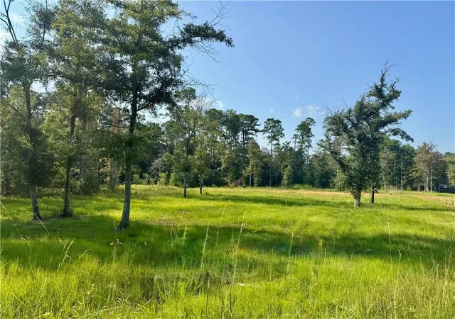 Photo 6 of Land for sale at Tbd Berry Todd Rd, Lacombe, LA 70445 | MLS# 2568238 | Listing updated on 2026-08-05