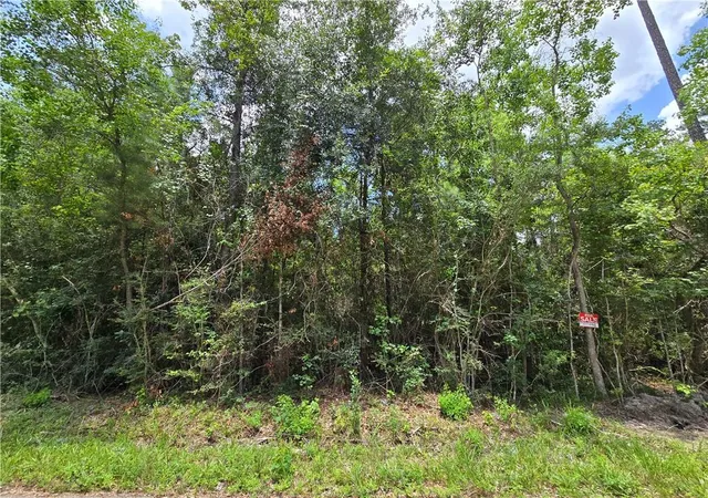 Photo 3 of Land for sale at 19309 12th Avenue, Covington, LA 70433 | MLS# 2568590 | Listing updated on 2026-07-20