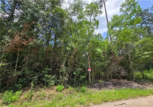 Photo 4 of Land for sale at 19309 12th Avenue, Covington, LA 70433 | MLS# 2568590 | Listing updated on 2026-07-20