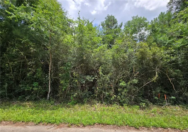 Photo 3 of Land for sale at 19305 12th Avenue, Covington, LA 70433 | MLS# 2568607 | Listing updated on 2026-07-21