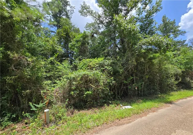 Photo 4 of Land for sale at 19305 12th Avenue, Covington, LA 70433 | MLS# 2568607 | Listing updated on 2026-07-21