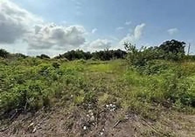 1st image of Lot L 2 Langston Ln, Port Sulphur, LA 70083 | MLS# 2568746