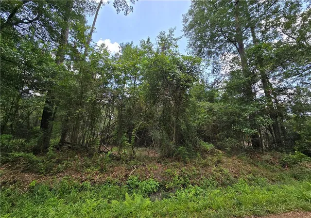 Photo 3 of Land for sale at 19340 11th Avenue, Covington, LA 70433 | MLS# 2568609 | Listing updated on 2026-07-24