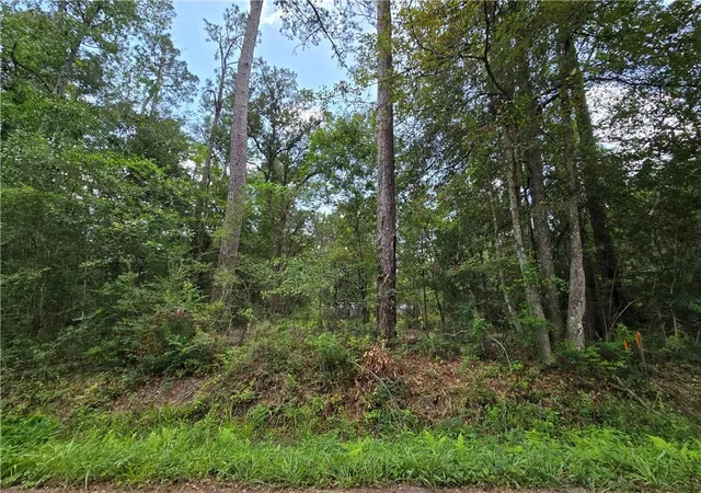 Photo 4 of Land for sale at 19340 11th Avenue, Covington, LA 70433 | MLS# 2568609 | Listing updated on 2026-07-24