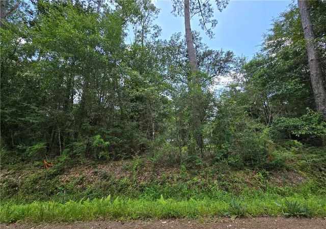 Photo 3 of Land for sale at 19336 11th Avenue, Covington, LA 70433 | MLS# 2568611 | Listing updated on 2026-07-22