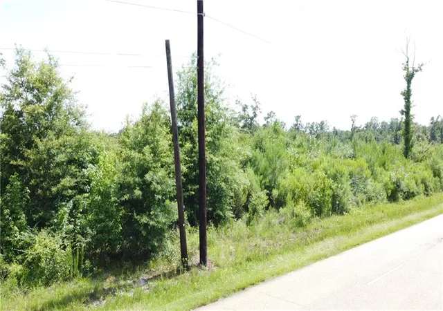 3rd image of Tract A 3 C Old Genessee Rd, Tickfaw, LA 70466 | MLS# 2568066