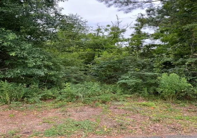 1st image of 44064 Hwy 445 Hwy, Robert, LA 70455 | MLS# 2569004
