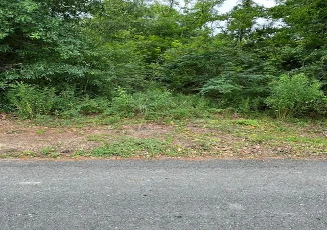 4th image of 44064 Hwy 445 Hwy, Robert, LA 70455 | MLS# 2569004