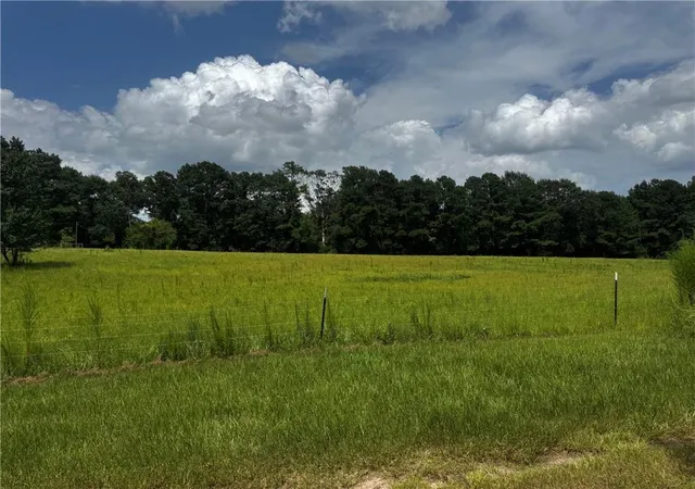 25th image of 46606 Otis Bickham Rd, Franklinton, LA 70438 | MLS# 2568962