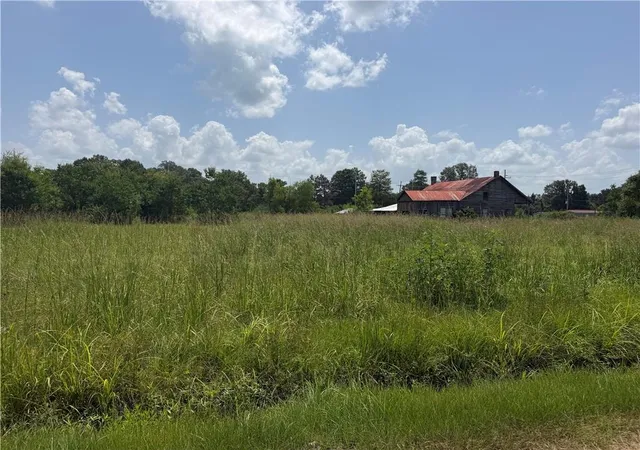 3rd image of E Hwy 51 Hwy, Tangipahoa, LA 70465 | MLS# 2569284