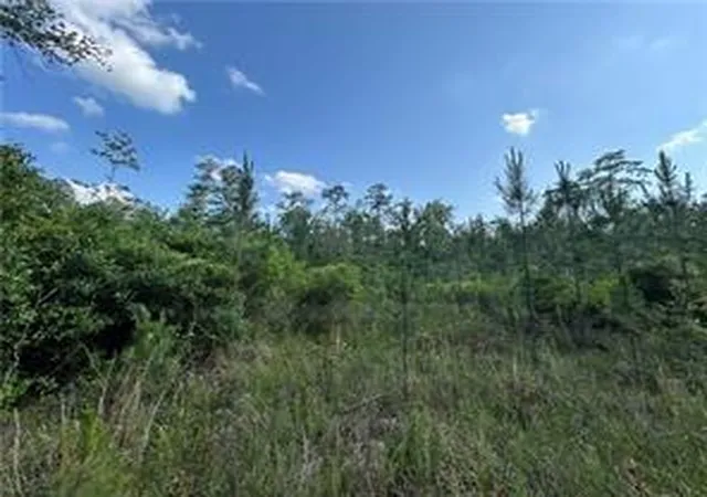 Photo 1 of Land for sale at Sticker Bay Rd, Lacombe, LA 70445 | MLS# 2568762 | Listing updated on 2026-07-27