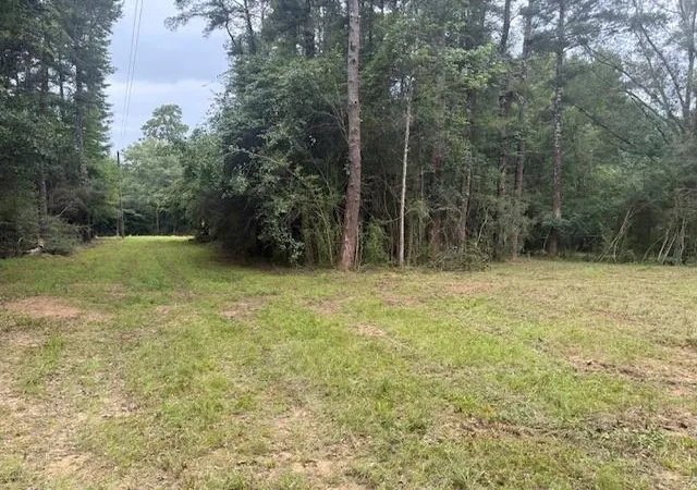 Photo 1 of Land for sale at 12293 Highway 40, Folsom, LA 70437 | MLS# 2568953 | Listing updated on 2026-07-29