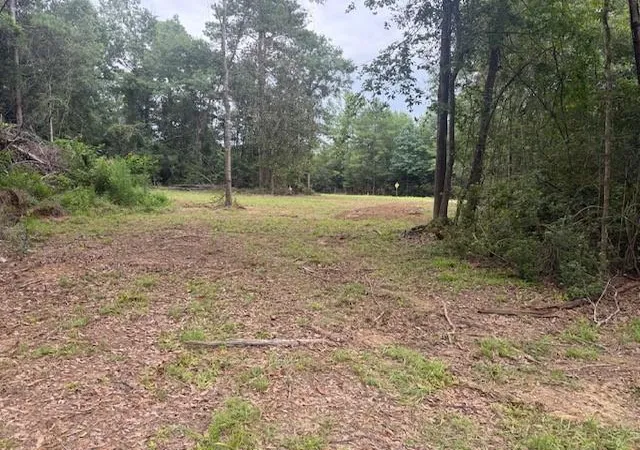 Photo 2 of Land for sale at 12293 Highway 40, Folsom, LA 70437 | MLS# 2568953 | Listing updated on 2026-07-29