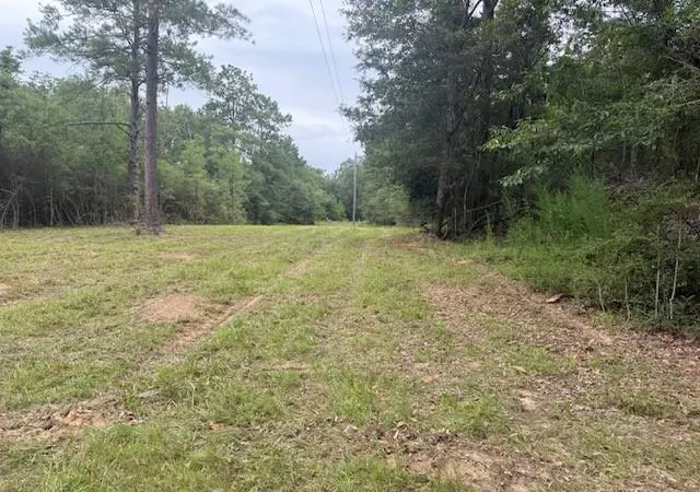 Photo 3 of Land for sale at 12293 Highway 40, Folsom, LA 70437 | MLS# 2568953 | Listing updated on 2026-07-29