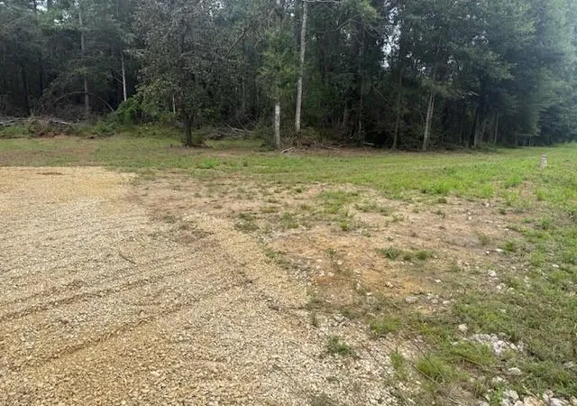 Photo 4 of Land for sale at 12293 Highway 40, Folsom, LA 70437 | MLS# 2568953 | Listing updated on 2026-07-29