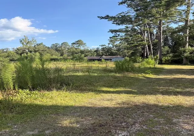 Photo 2 of Land for sale at 27186 La 42 Hwy, Springfield, LA 70462 | MLS# 2570400 | Listing updated on 2026-07-31