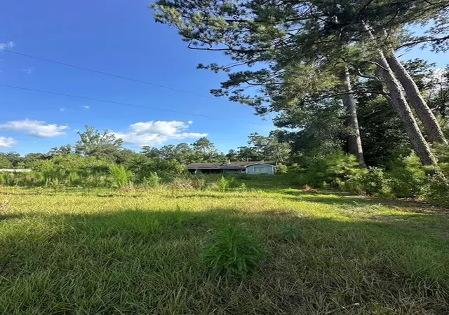Photo 3 of Land for sale at 27186 La 42 Hwy, Springfield, LA 70462 | MLS# 2570400 | Listing updated on 2026-07-31