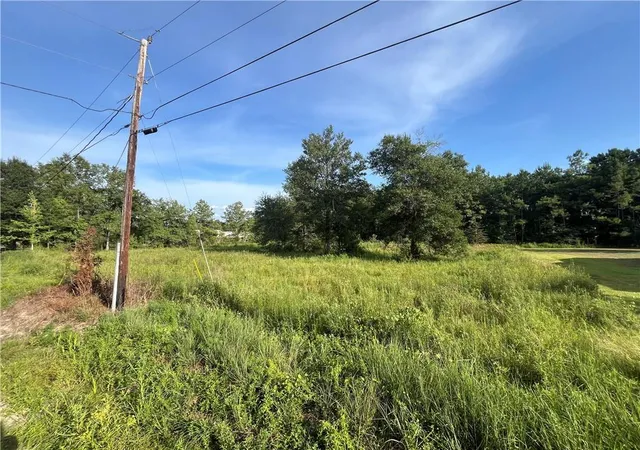 Photo 3 of Land for sale at 31070 Hubert Stilley Rd, Independence, LA 70443 | MLS# 2570307 | Listing updated on 2026-08-01