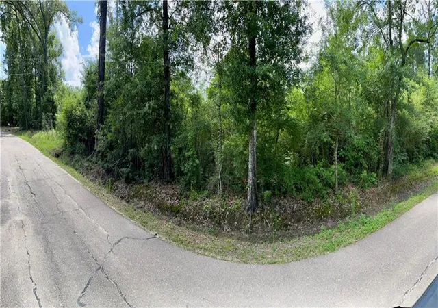 Photo 1 of Land for sale at 29835 S Cafe Line Rd, Albany, LA 70711 | MLS# 2570782 | Listing updated on 2026-08-04