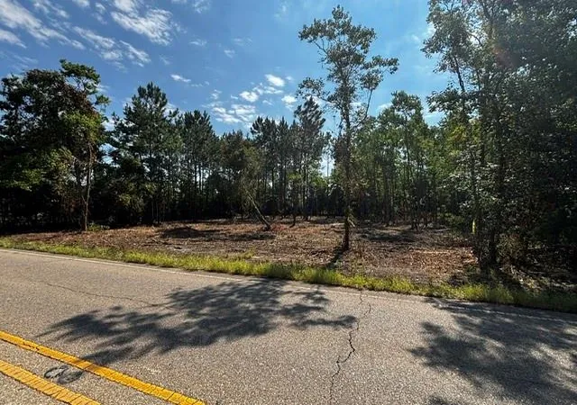 1st image of 0 59 Hwy, Mandeville, LA 70448 | MLS# 2570804