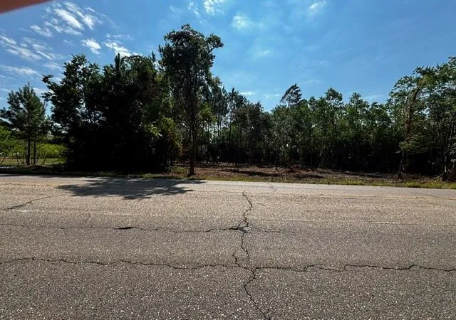 2nd image of 0 59 Hwy, Mandeville, LA 70448 | MLS# 2570804