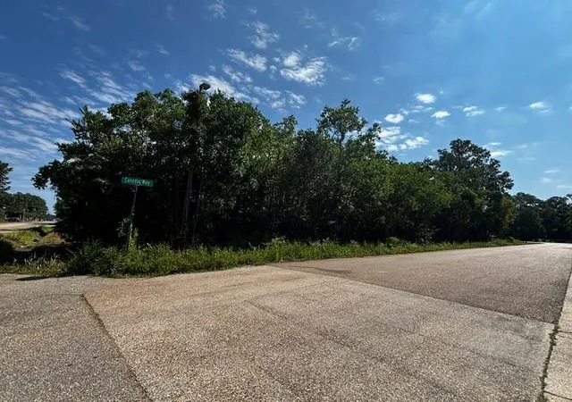 5th image of 0 59 Hwy, Mandeville, LA 70448 | MLS# 2570804