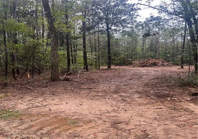 1st image of Tbd Bennett Rd, Independence, LA 70443 | MLS# 2561714