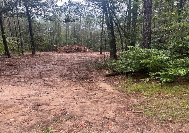 2nd image of Tbd Bennett Rd, Independence, LA 70443 | MLS# 2561714