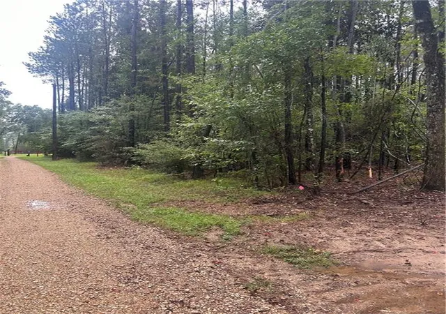 3rd image of Tbd Bennett Rd, Independence, LA 70443 | MLS# 2561714