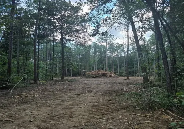 6th image of Tbd Bennett Rd, Independence, LA 70443 | MLS# 2561714
