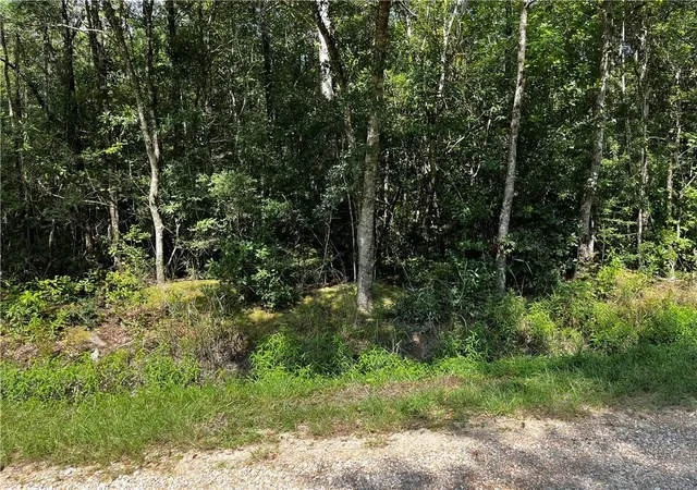 Photo 2 of Land for sale at Lot 4 Trap St, Abita Springs, LA 70420 | MLS# 2571403 | Listing updated on 2026-08-27