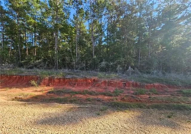 Photo 1 of Land for sale at 0 Makinley Loop, Amite, LA 70422 | MLS# 2574719 | Listing updated on 2026-09-23